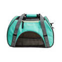 Small Turquoise Bergan Comfort Carrier